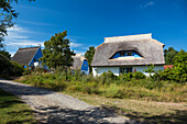 Reetgedeckte Häuser in Vitte, Insel Hiddensee, Mecklenburg-Vorpommern, Deutschland