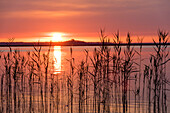 Sonnenaufgang im Nationalpark Vorpommersche Boddenlandschaft, Halbinsel Zingst, Mecklenburg-Vorpommern, Deutschland, Europa