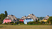 Bunte reetgedeckte Häuser in Ahrenshoop, Darß, Fischland, Ostsee, Mecklenburg-Vorpommern, Deutschland