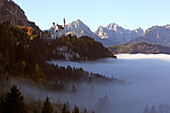 Neuschwanstein castle above clouds in autumn, Fuessen, Ostallgaeu, Allgaeu, Swabia, Bavaria, Germany