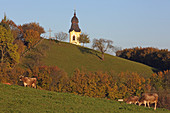 Autumn day in Pfronten with St. Nikolaus church, Eastern Allgaeu, Allgaeu, Swabia, Bavaria, Germany
