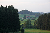 Landschaft mit Jägerstand bei Kißlegg, württembergischer Allgäu, Allgäu, Baden-Württemberg, Deutschland