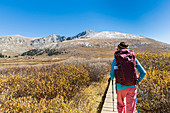 Female Hiker Walking On Boardwalk Beneath Mount Bierstadt In Colorado