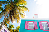 Blue House With Pink Windows And A Palm In Soper's Hole, Tortola
