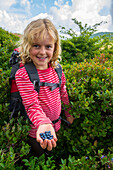 A Young Girl Picking Low Bush Blueberries Along The Appalachian Trail In North Carolina