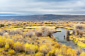 Distant View Of A Fly Fishing On The Hams Fork In Wyoming