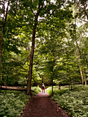 A Man Standing On A Path Looking Up Into The Light In The Trees