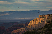Hot Air Balloons Rise Over A Canyon In Sedona, Arizona, Usa
