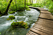 Plitvice Lakes National Park In Croatia, Europe