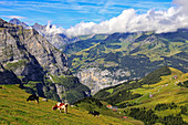 View from Kleine Scheidegg to Murren and Lauterbrunnen Valley, Grindelwald, Bernese Oberland, Switzerland, Europe