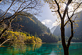 Five Flower Lake, Jiuzhaigou (Nine Village Valley), UNESCO World Heritage Site, Sichuan province, China, Asia