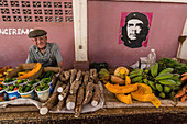Fruit and vegetables for sale by private vendor at the Mercado Industrial in Cienfuegos, Cuba, West Indies, Caribbean, Central America