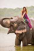 Woman sitting on an elephant getting an elephant shower, Chitwan Elephant Sanctuary, Nepal, Asia