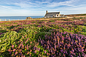 Saint-They chapel at Van Point, Cleden-Cap-Sizun, Finistere, Brittany, France, Europe