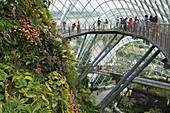 Cloud Forest greenhouse in Gardens by the Bay, Singapore, Southeast Asia, Asia
