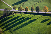 Bäume und Schatten, Oberbayern, Deutschland