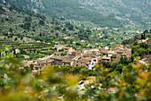 Mountain village with citrus plantations, Fornalutx, Serra de Tramuntana, Majorca, Balearic Islands, Spain
