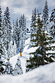 Rückansicht Der Person Skifahren In Snowy Region In Lake Tahoe, Kalifornien, Verwenden