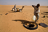 Water from a salty water well in Bresi in the Sahara Desert, Sudan is still usable for cooking for the camel caravan.
