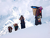 Porter are arriving in basacamp. The inhabitants of the village of Sama Goan are offering their services to expeditions on Manaslu bu carrying gear to basecamp.    The Manaslu mountain in the Nepal Himalayas is 8163 meter high and one of the 14 eight thou