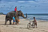 Mother and daughter riding on elephant Nilaveli Beach. Sri Lanka