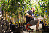 Denver, Colorado- Grow assistant, Alex Robinson watering cannabis plants at Rx Green Solution's grow facility.