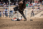 A cowboy hits the ground after being bucked from his horse  at the Woodlake Lions Rodeo rodeo in Woodlake, Calif., on May 10, 2015.