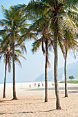 Palm trees on Leblon Beach with soccer players in the background