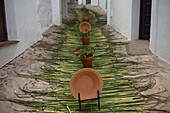 A Street Is Decorated With Sedge During Corpus Christi Religious Celebration