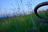Mountain Bike Lying In The Grass On Meadow