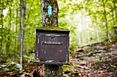 A Trail Log Box Along The Appalachian Trail