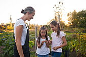 Mother And Her Two Daughter Standing In Their Garden In Fort Langley