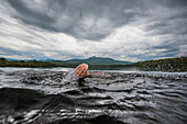 The Hand Of A Swimmer Pulling Out Of The Water While Swimming In Lake