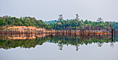 Reflection Of Trees In Lake At Laos