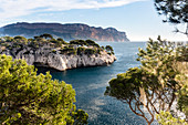 Scenic View Of Calanque And The Mediterranean Sea Framed By Pine Trees
