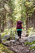 A Female Hiker Hiking On A Forest Trail In Rocky Mountain National Park, Colorado