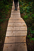 A Half Moon Is Carved Into The Boardwalk Along The Half Moon Bay Trail In Pacific Rim National Park