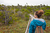 A Woman Hiking The Bog Trail In Pacific Rim National Park, British Columbia