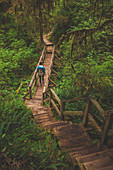 A Woman Hikes Across A Wooden Bridge In Pacific Rim National Park, British Columbia