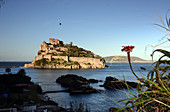 Castello Aragonese next to Ischia Ponte, Island of Ischia, Golf of Napels, Campania, Italy