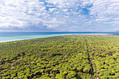 Panoramablick auf Maremma-Park, Castelmarino-Turm, Torre di Castelmarino, Alberese, Maremma-Park, Parco della Maremma, Grosseto, Provinz Grosseto, Toskana, Italien, Europa