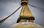 Bouddhanath stupa with pigeons, Kathmandu, Nepal, Asia