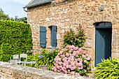 Haus mit Hortensien, Insel Bréhat, Côtes-d'Armor, Bretagne, Frankreich