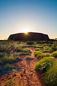 Uluru , Ayers Rock , Uluru-Kata Tjuta National Park, Northern Territory, Central Australia, Australia