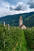 Naturns, Naturns, Provinz Bozen, Südtirol, Italien, Die Prokuluskirche