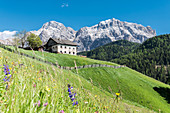 La Valle , Wengen, Alta Badia, Bolzano province, South Tyrol, Italy,  Old farm before the peaks of Cima Nove , Neunerspitze and Cima Dieci , Zehnerspitze