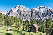 La Valle , Wengen, Alta Badia, Bolzano province, South Tyrol, Italy,  Hikers traveling on the pastures of Pra de Rit
