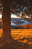 Iseo lake at sunset view from Colmi of Sulzano, Brescia province, Italy, Lombardy district