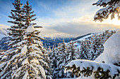 Schneebedeckte Wälder und Bäume umrahmt vom Winter Sonnenuntergang Bettmeralp Bezirk von Raron Kanton Wallis Schweiz Europa