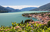 Blick auf das typische Dorf Gravedona umgeben von Comer See und Gärten Provinz Como Lombardei Italien Europa